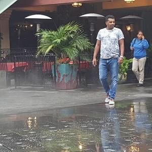 Meet your Posher, Zelalem